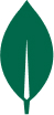 Vector-1.jpg